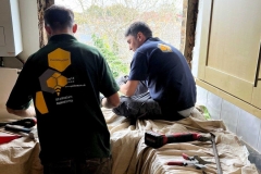 rapidbeez_co_uk_windows_doors_b17