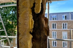 rapidbeez_co_uk_windows_doors_b41