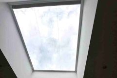 rapidbeez_co_uk_roof_light_b10